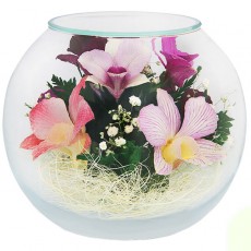 "NaturalFlowers" Арт: BSO цветы в стекле